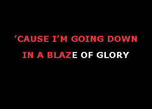 'CAUSE I'M GOING DOWN

IN A BLAZE OF GLORY