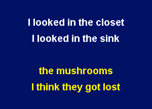 I looked in the closet

I looked in the sink

the mushrooms
lthink they got lost