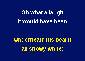 Oh what a laugh
it would have been

Underneath his beard

all snowy whiteg