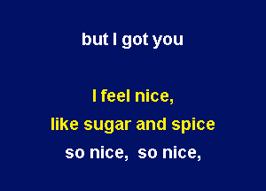 but I got you

I feel nice,

like sugar and spice

so nice, so nice,