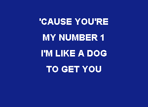 'CAUSE YOU'RE
MY NUMBER 1
I'M LIKE A DOG

TO GET YOU