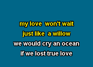 my love won't wait
just like awillow

we would cry an ocean

if we lost true love