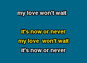 my love won't wait

it's now or never

my love won't wait

it's now or never