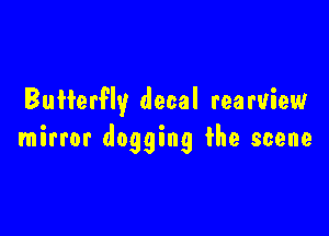 Butterfly decal rearview

mirror dogging the scene