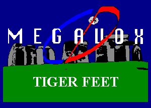 TIGER FEET