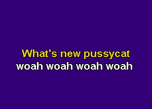 What's new pussycat

woah woah woah woah