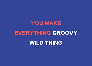 YOU MAKE
EVERYTHING GROOVY

WILD THING