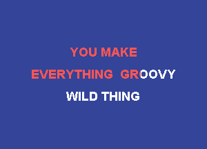 YOU MAKE
EVERYTHING GROOVY

WILD THING