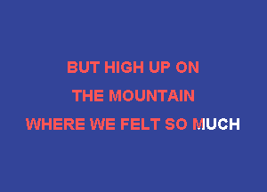 BUT HIGH UP ON
THE MOUNTAIN

WHERE WE FELT SO MUCH