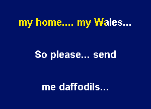 my home.... my Wales...

So please... send

me daffodils...