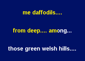 me daffodils....

from deep.... among...

those green welsh hills....