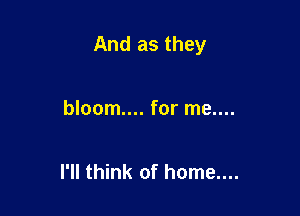 And as they

bloom... for me....

I'll think of home....