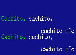 Cachito, cachito,

cachito mio
Cachito, cachito,

cachito mio