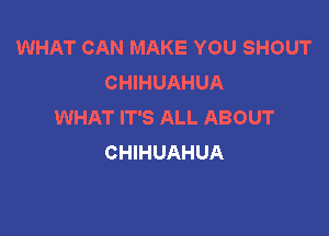 WHAT CAN MAKE YOU SHOUT
CHIHUAHUA
WHAT IT'S ALL ABOUT

CHIHUAHUA