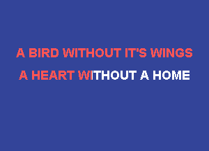 A BIRD WITHOUT IT'S WINGS
A HEART WITHOUT A HOME