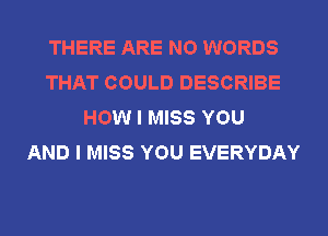 THERE ARE NO WORDS
THAT COULD DESCRIBE
HOW I MISS YOU
AND I MISS YOU EVERYDAY