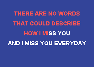 THERE ARE NO WORDS
THAT COULD DESCRIBE
HOW I MISS YOU
AND I MISS YOU EVERYDAY