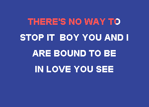 THERE'S NO WAY TO
STOP IT BOY YOU AND I
ARE BOUND TO BE

IN LOVE YOU SEE