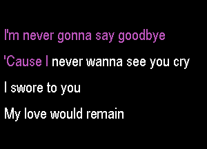 I'm never gonna say goodbye

'Cause I never wanna see you cry

I swore to you

My love would remain