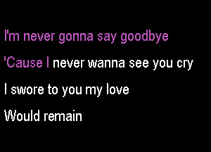 I'm never gonna say goodbye

'Cause I never wanna see you cry

I swore to you my love

Would remain