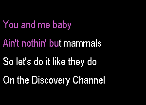 You and me baby

Ain't nothin' but mammals

So lefs do it like they do

On the Discovery Channel