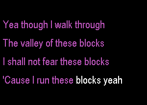 Yea though I walk through
The valley of these blocks

I shall not fear these blocks

'Cause I run these blocks yeah