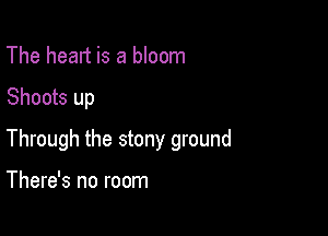 The heart is a bloom

Shoots up

Through the stony ground

There's no room