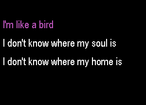 I'm like a bird

I don't know where my soul is

I don't know where my home is