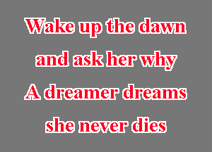 Wmmh
dmmm

A dreamer dreams

SEE never dies