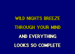 WILD NIGHTS BREEZE

THROUGH YOUR MIND
AND EVERYTHING
LOOKS SO COMPLETE