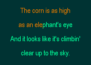 The corn is as high
as an elephant's eye

And it looks like it's climbin'

clear up to the sky.