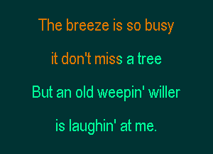 The breeze is so busy

it don't miss a tree

But an old weepin' willer

is laughin' at me.