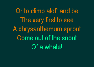 Or to climb aloft and be
The very first to see
A Chrysanthemum sprout

Come out of the snout
Of a whale!