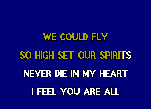 WE COULD FLY

30 HIGH SET OUR SPIRITS
NEVER DIE IN MY HEART
I FEEL YOU ARE ALL