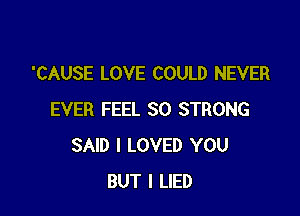 'CAUSE LOVE COULD NEVER

EVER FEEL SO STRONG
SAID I LOVED YOU
BUT I LIED