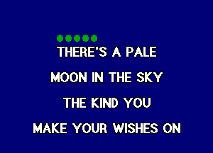 THERE'S A PALE

MOON IN THE SKY
THE KIND YOU
MAKE YOUR WISHES 0N