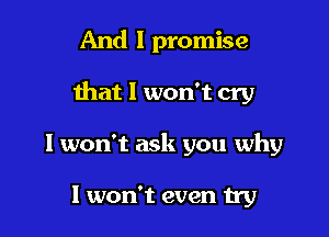 And I promise

that I won't cry

I won't ask you why

I won't even try