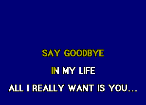 SAY GOODBYE
IN MY LIFE
ALL I REALLY WANT IS YOU...