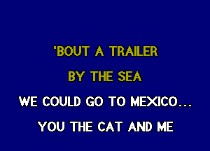 'BOUT A TRAILER

BY THE SEA
WE COULD GO TO MEXICO...
YOU THE CAT AND ME