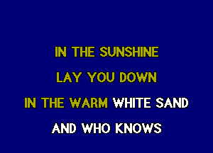 IN THE SUNSHINE

LAY YOU DOWN
IN THE WARM WHITE SAND
AND WHO KNOWS