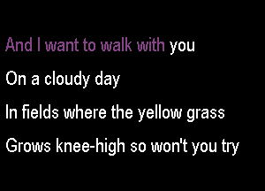And I want to walk with you
On a cloudy day

In fields where the yellow grass

Grows knee-high so won't you try