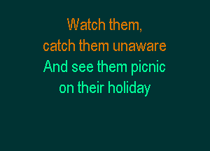 Watch them,
catch them unaware
And see them picnic

on their holiday