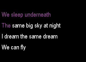 We sleep underneath
The same big sky at night

I dream the same dream

We can fly