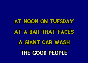 AT NOON ON TUESDAY

AT A BAR THAT FACES
A GIANT CAR WASH
THE GOOD PEOPLE