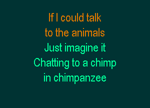 lfl could talk
to the animals
Just imagine it

Chatting to a chimp
in chimpanzee