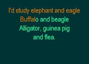 I'd study elephant and eagle
Buffalo and beagle
Alligator, guinea pig

and flea.