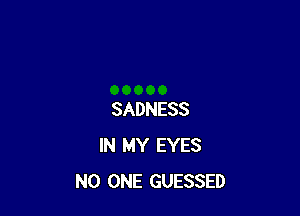 SADNESS
IN MY EYES
NO ONE GUESSED