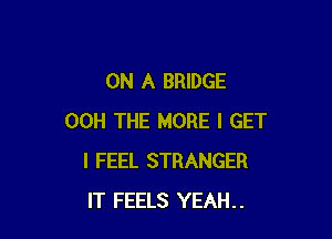 ON A BRIDGE

00H THE MORE I GET
I FEEL STRANGER
IT FEELS YEAH..