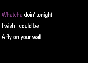 Whatcha doin' tonight

I wish I could be

A fly on your wall