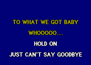 TO WHAT WE GOT BABY

WHOOOOO...
HOLD ON
JUST CAN'T SAY GOODBYE